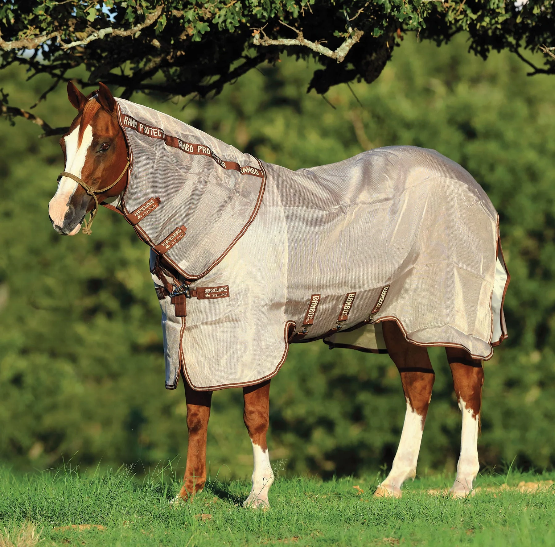 Rambo Protector Horse Fly Sheet - Nail Gallerys
