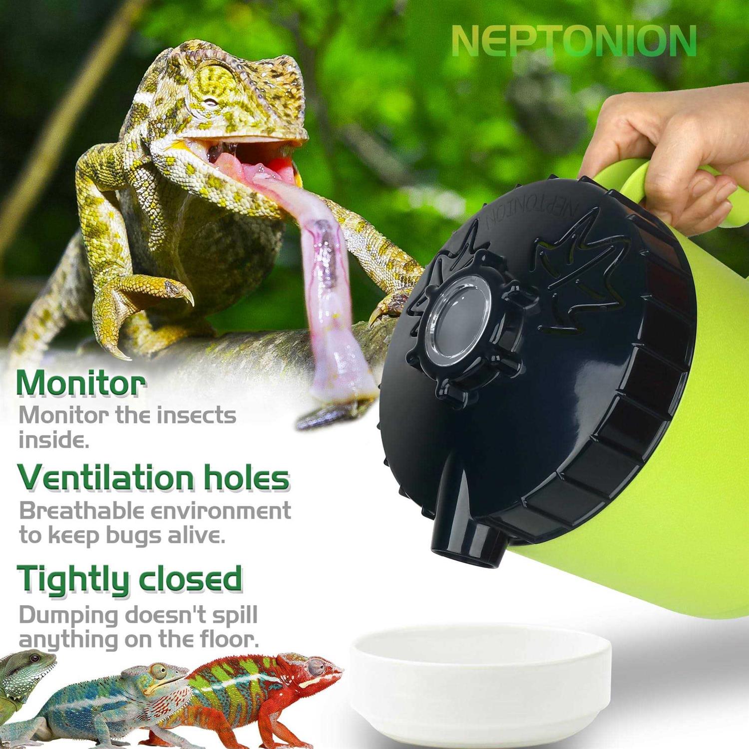 Neptonion Professional Cricket Keeper Live Worm Organizer Tank with Rubber Seal - Nail Gallerys