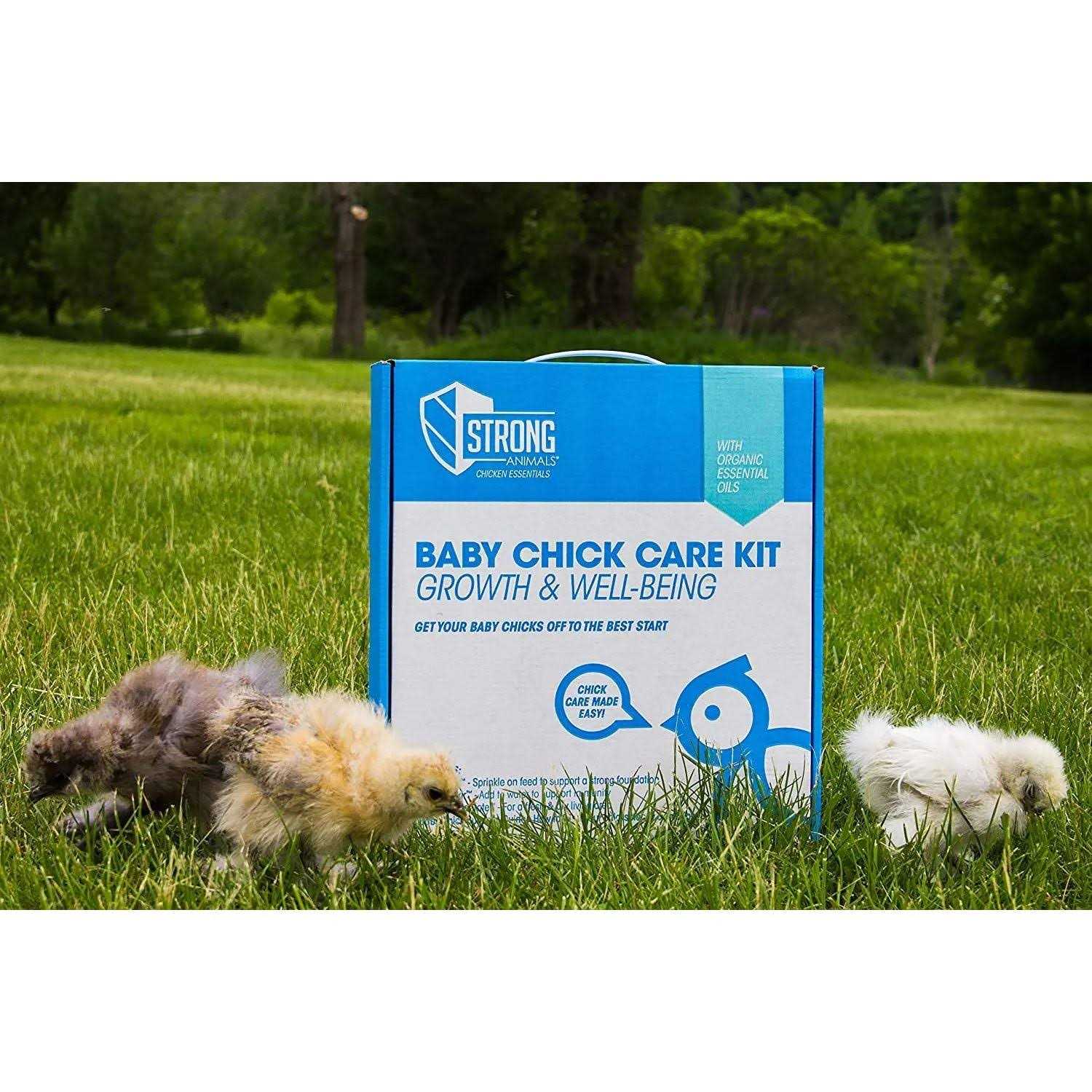 Strong Animals Baby Chick Care Kit - Nail Gallerys