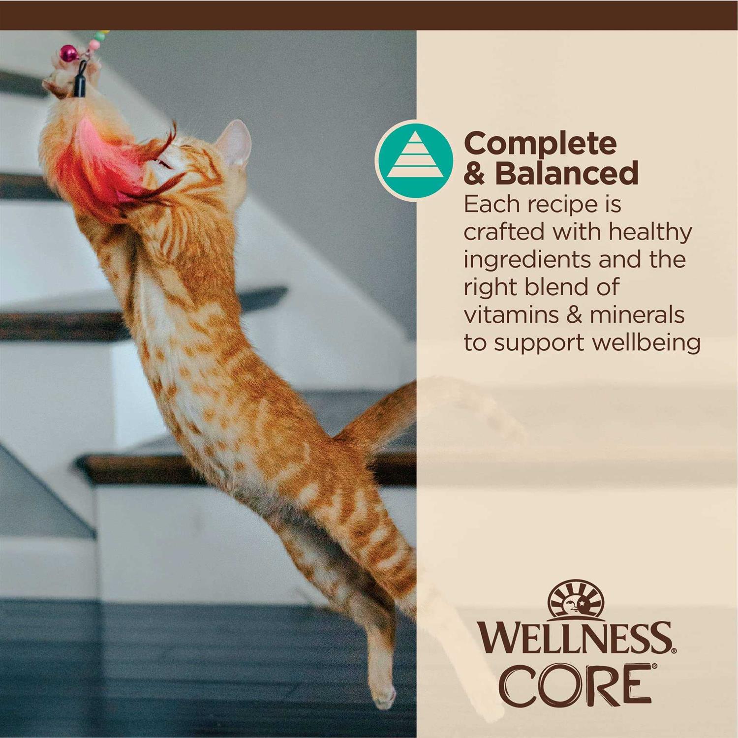Wellness Core Tiny Tasters Flaked Wet Cat Food - Nail Gallerys