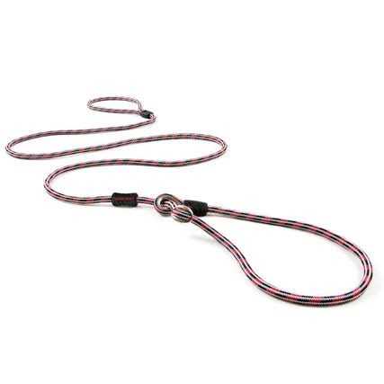 EzyDog Luca All-in-One Slip Collar Dog Leash - Nail Gallerys