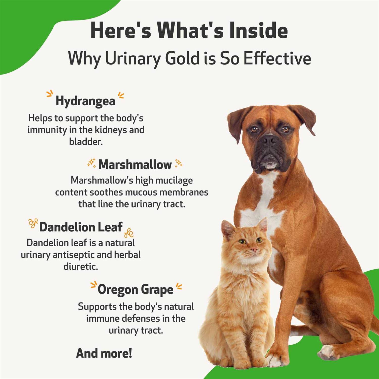 Pet Wellbeing Urinary Gold Urinary Tract Health - Nail Gallerys