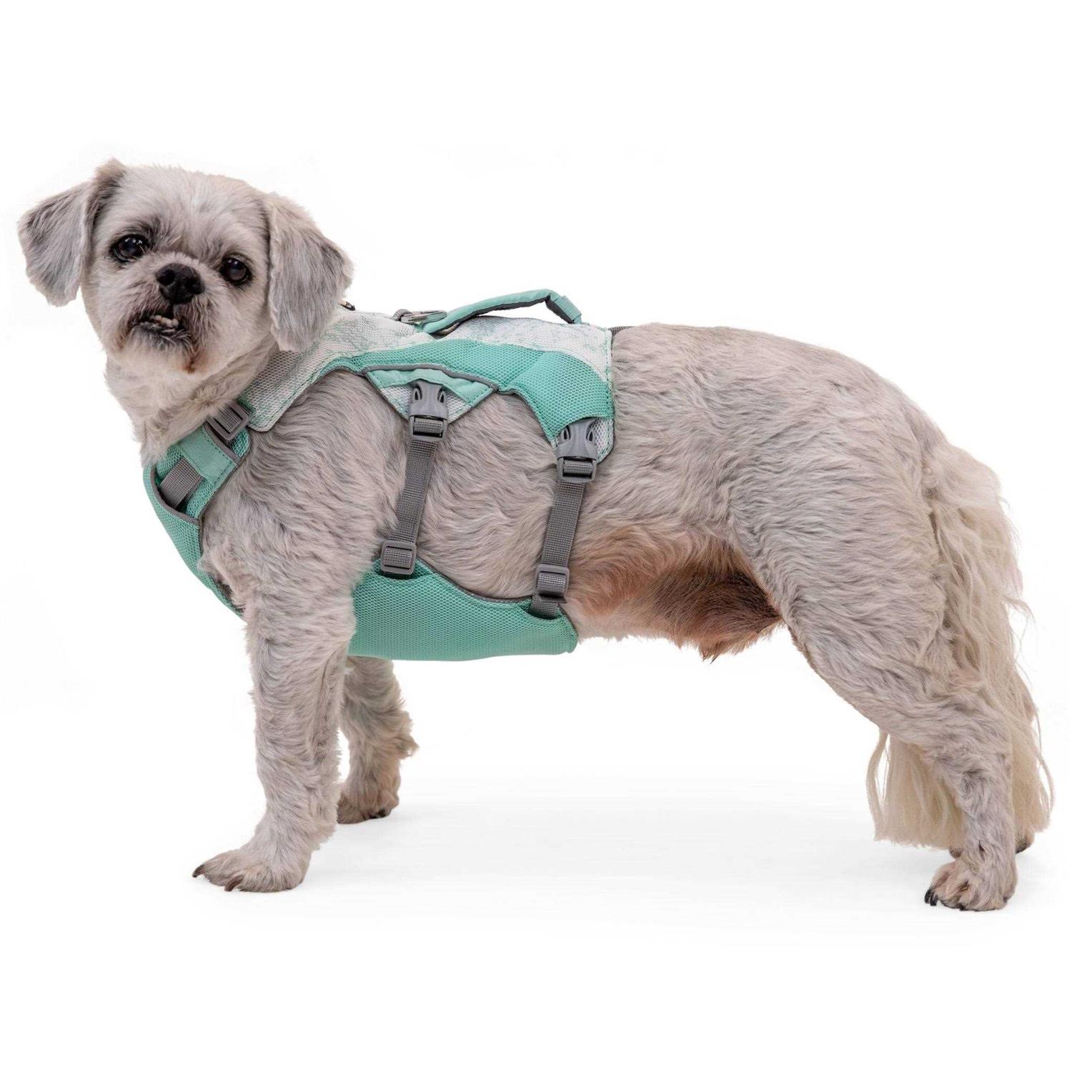 Ruffwear Swamp Cooler Dog Harness - Nail Gallerys