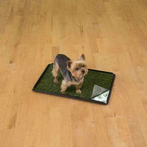 PoochPad Indoor Turf Dog Potty Pro - Nail Gallerys