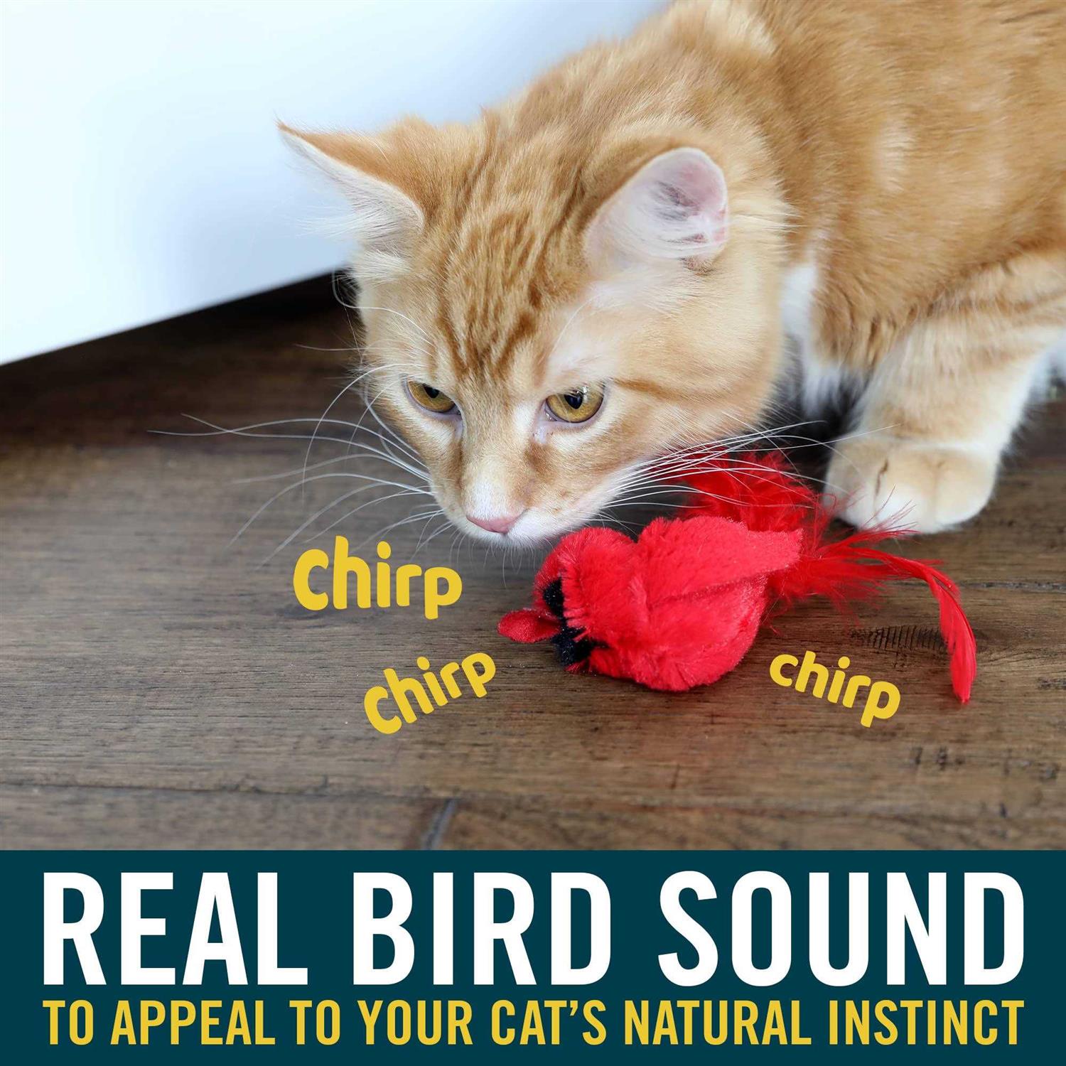 OurPets Play-N-Squeak Real Birds Cardinal Cat Toy - Nail Gallerys