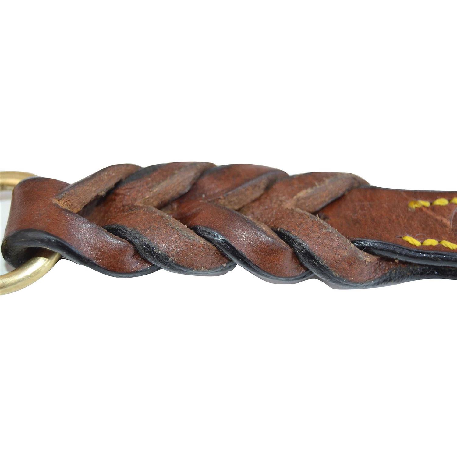 Soft Touch Collars Leather Braided Dog Leash - Nail Gallerys