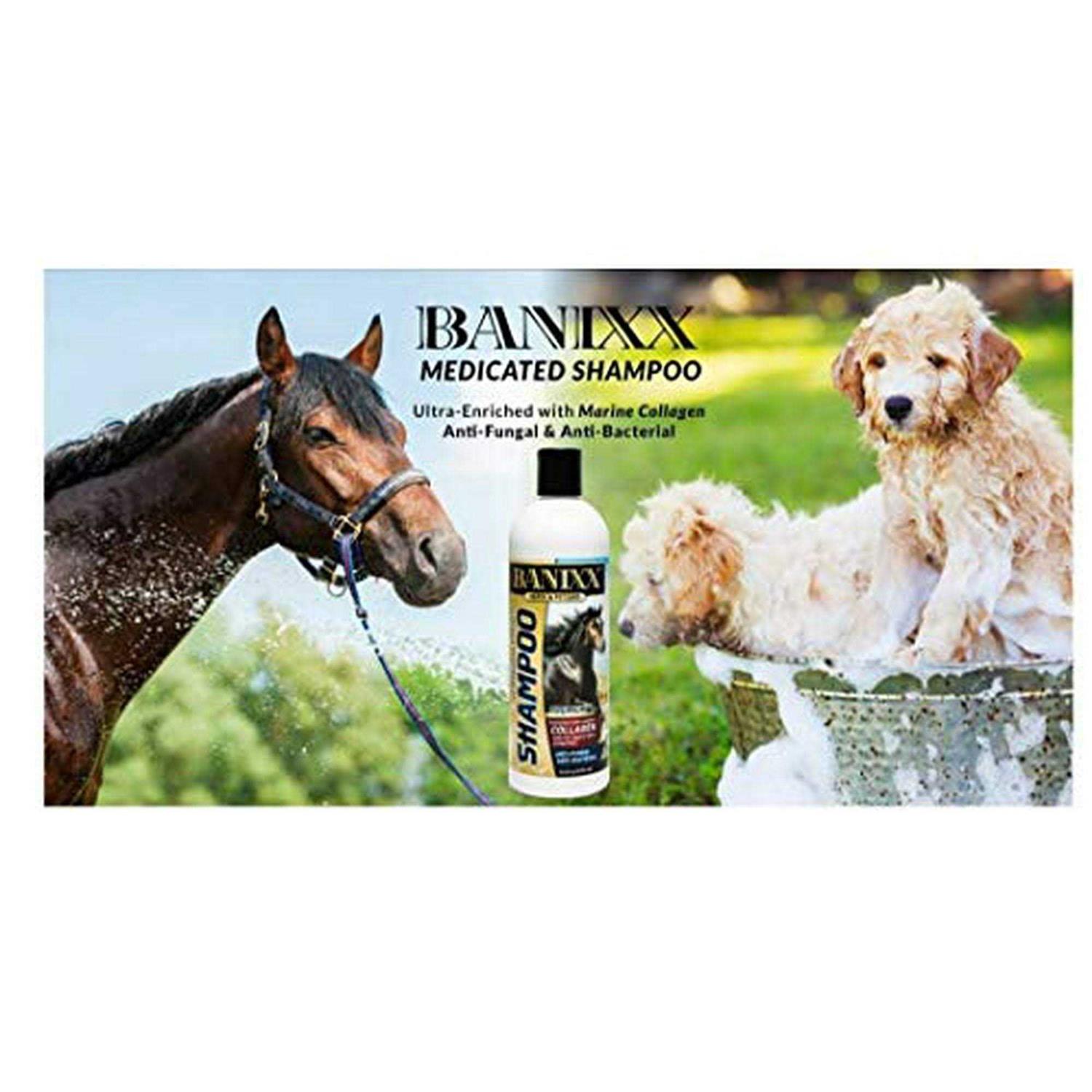 Banixx Medicated Shampoo - Nail Gallerys