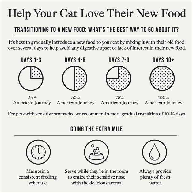 American Journey Recipe Salmon Grain-Free Dry Cat Food - Nail Gallerys