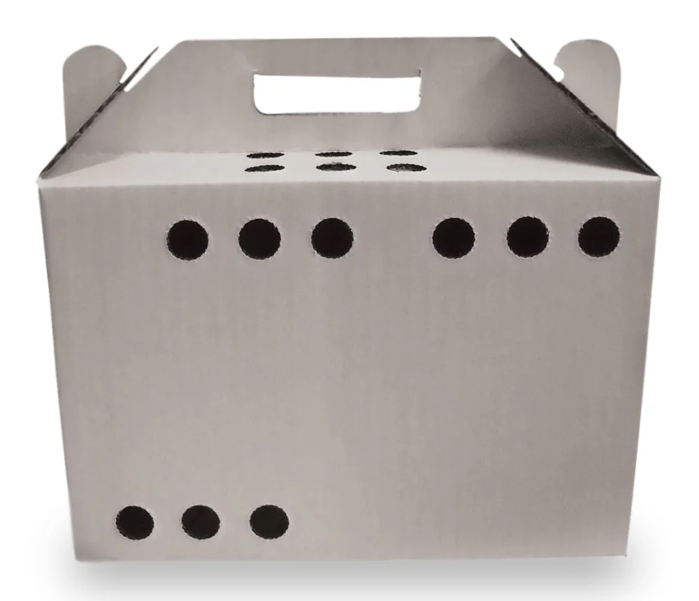 Oasis Disposable Pet Carrier, 12 Count - Nail Gallerys