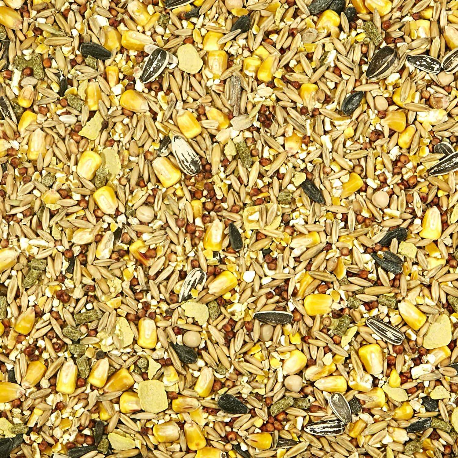 Kaytee Backyard Wildlife - Nail Gallerys