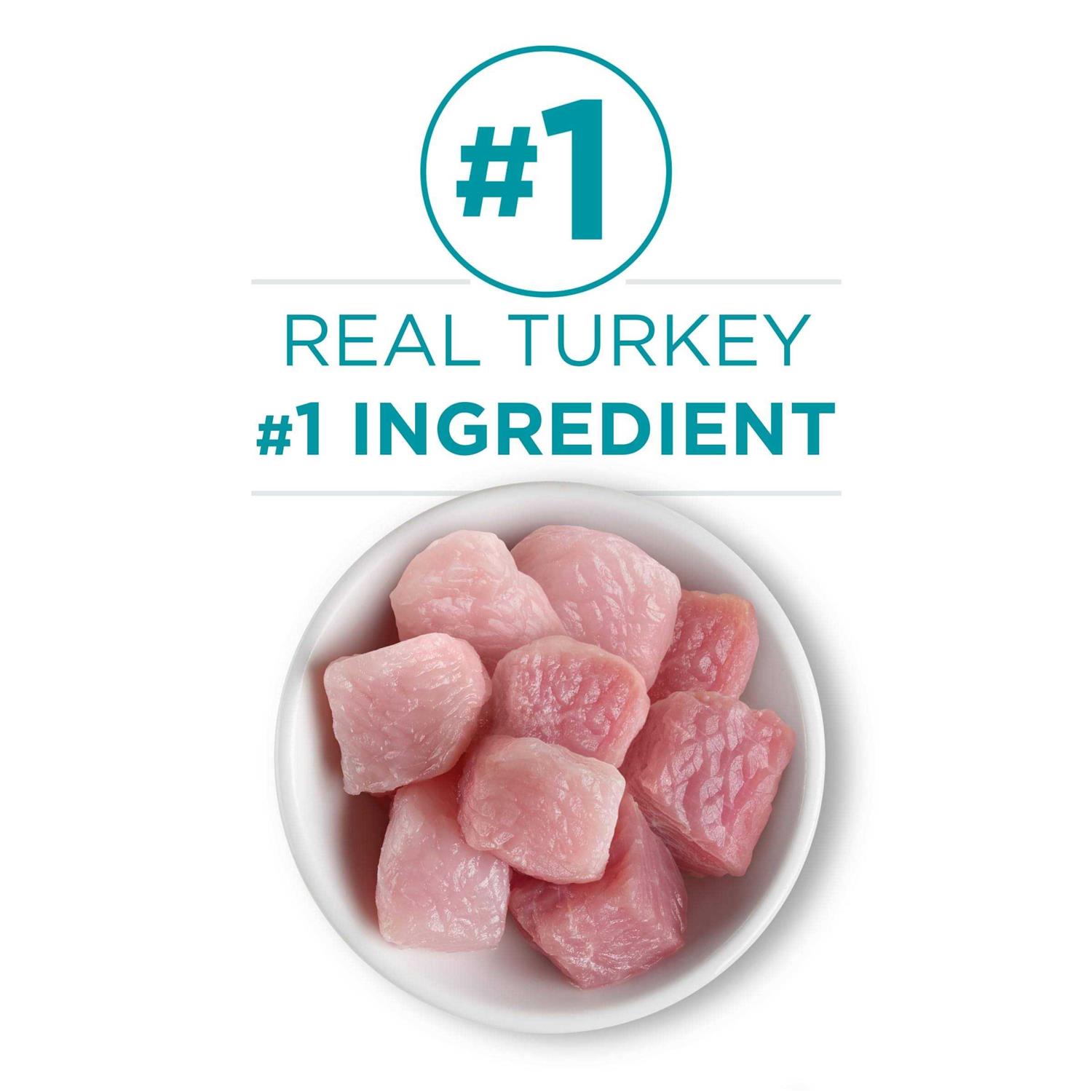 Purina ONE Natural Grain Free Wet Cat Food Pate - Nail Gallerys