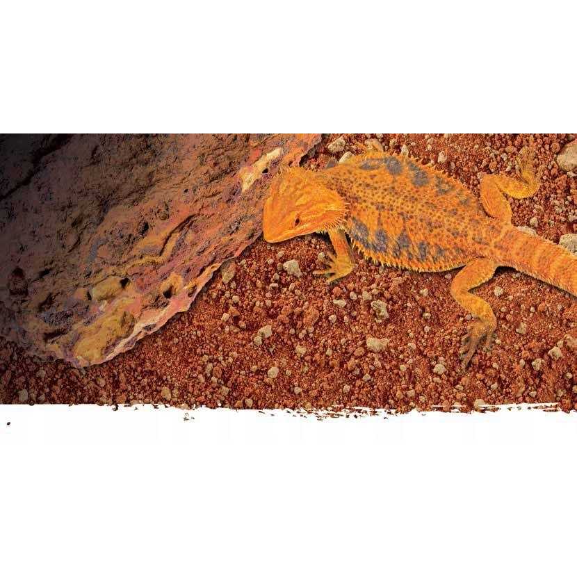 Exo Terra Stone Desert Substrate - Nail Gallerys