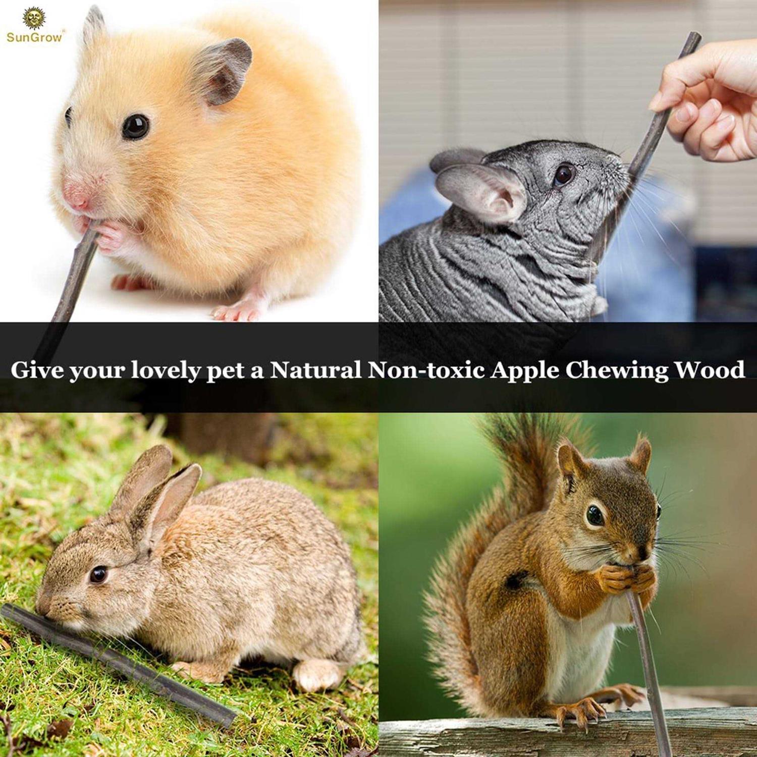 SunGrow Apple Sticks 200g Wood Chew Sticks for Rabbits Chinchillas - Nail Gallerys