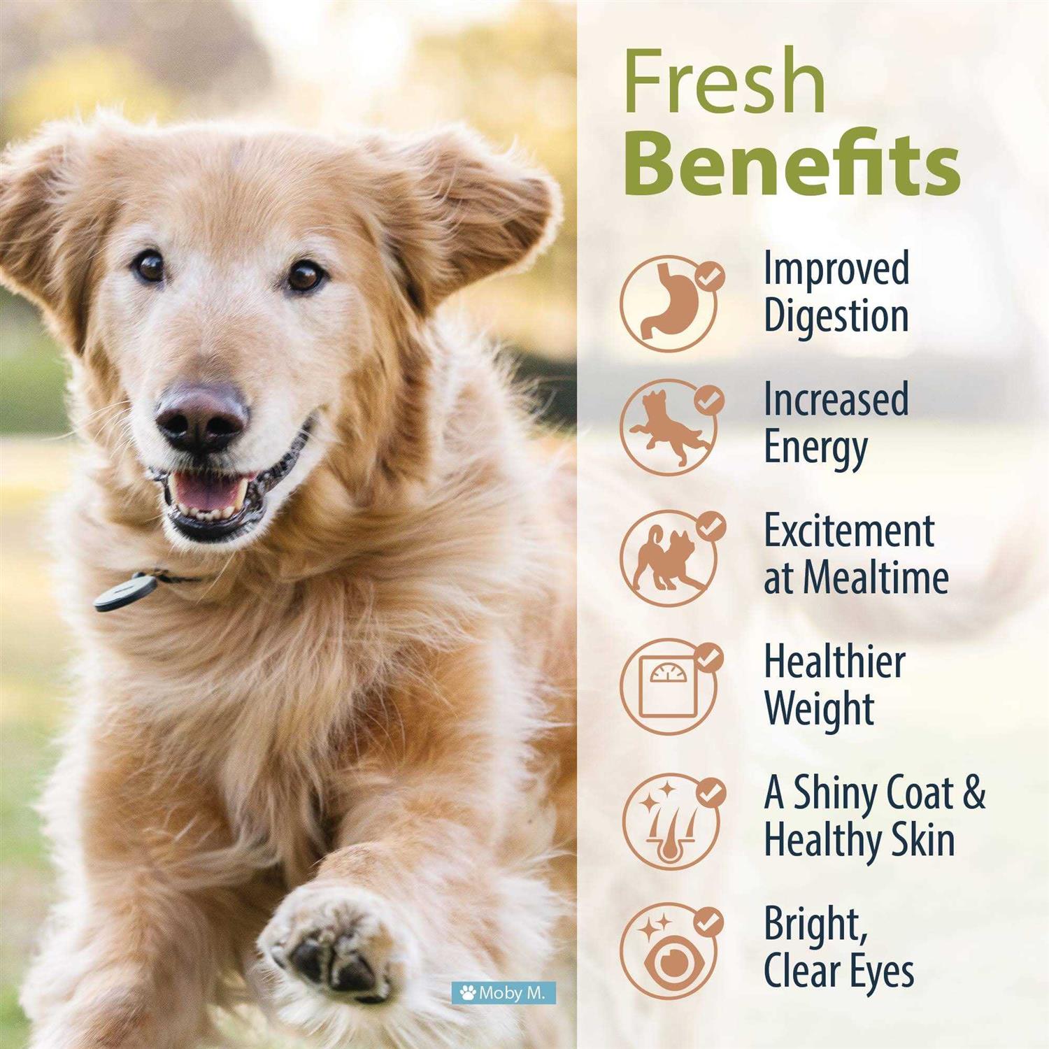 JustFoodForDogs Frozen Fresh Dog Food Human - Nail Gallerys