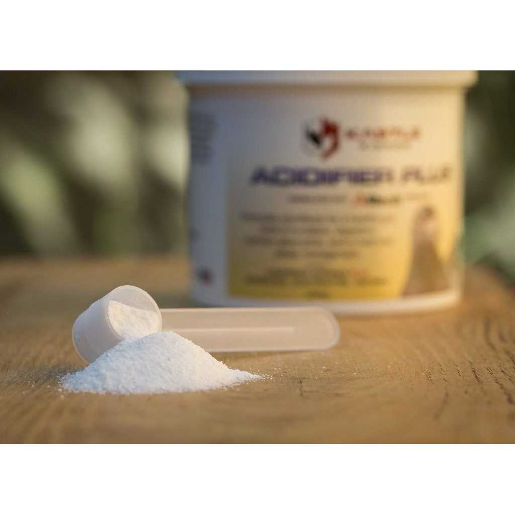 Kastle Acidifier Plus - Nail Gallerys