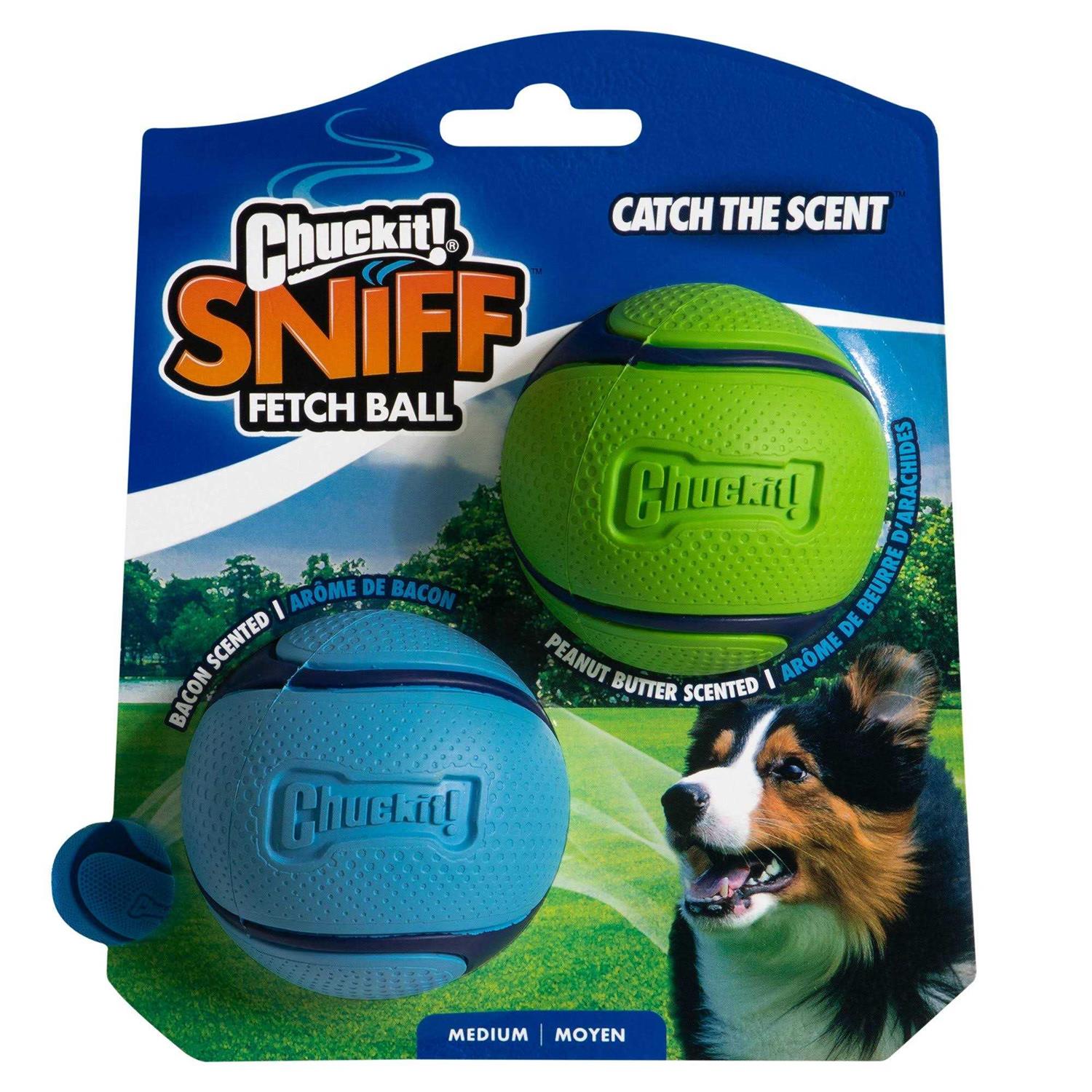 Chuckit! Sniff Fetch Ball Dog Toy - Nail Gallerys