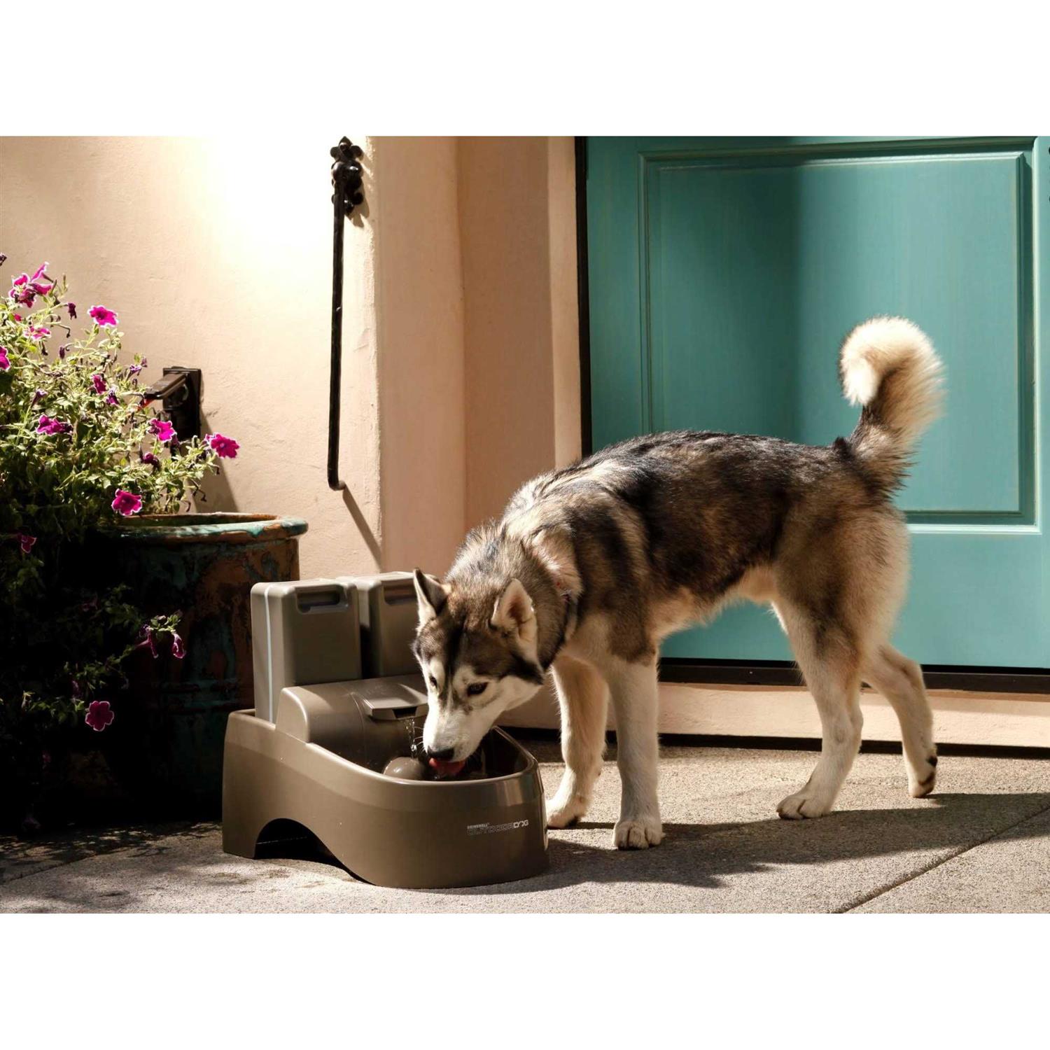PetSafe Drinkwell Outdoor Dog Fountain - Nail Gallerys
