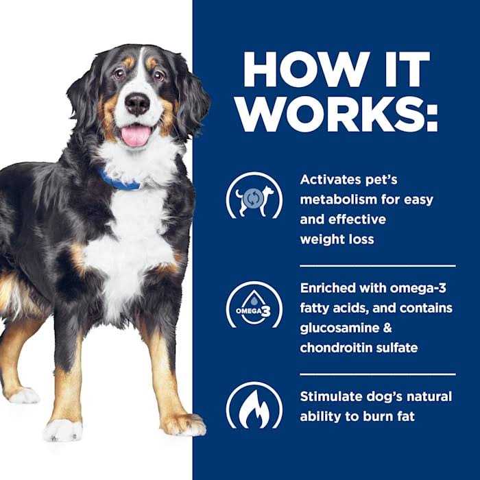 Hill’s Prescription Diet Metabolic + Mobility Weight & Joint Care Chicken Flavor Dry Dog Food - Nail Gallerys