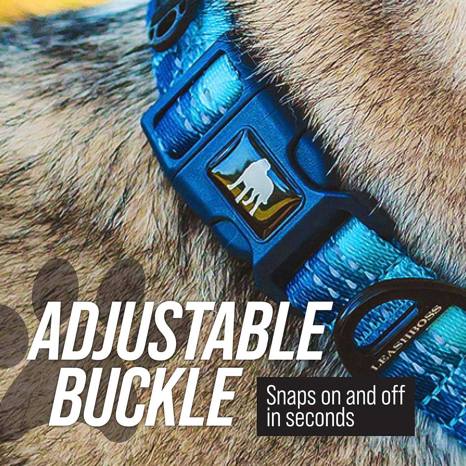 Leashboss Patterned Fabric Martingale Dog Collar - Nail Gallerys