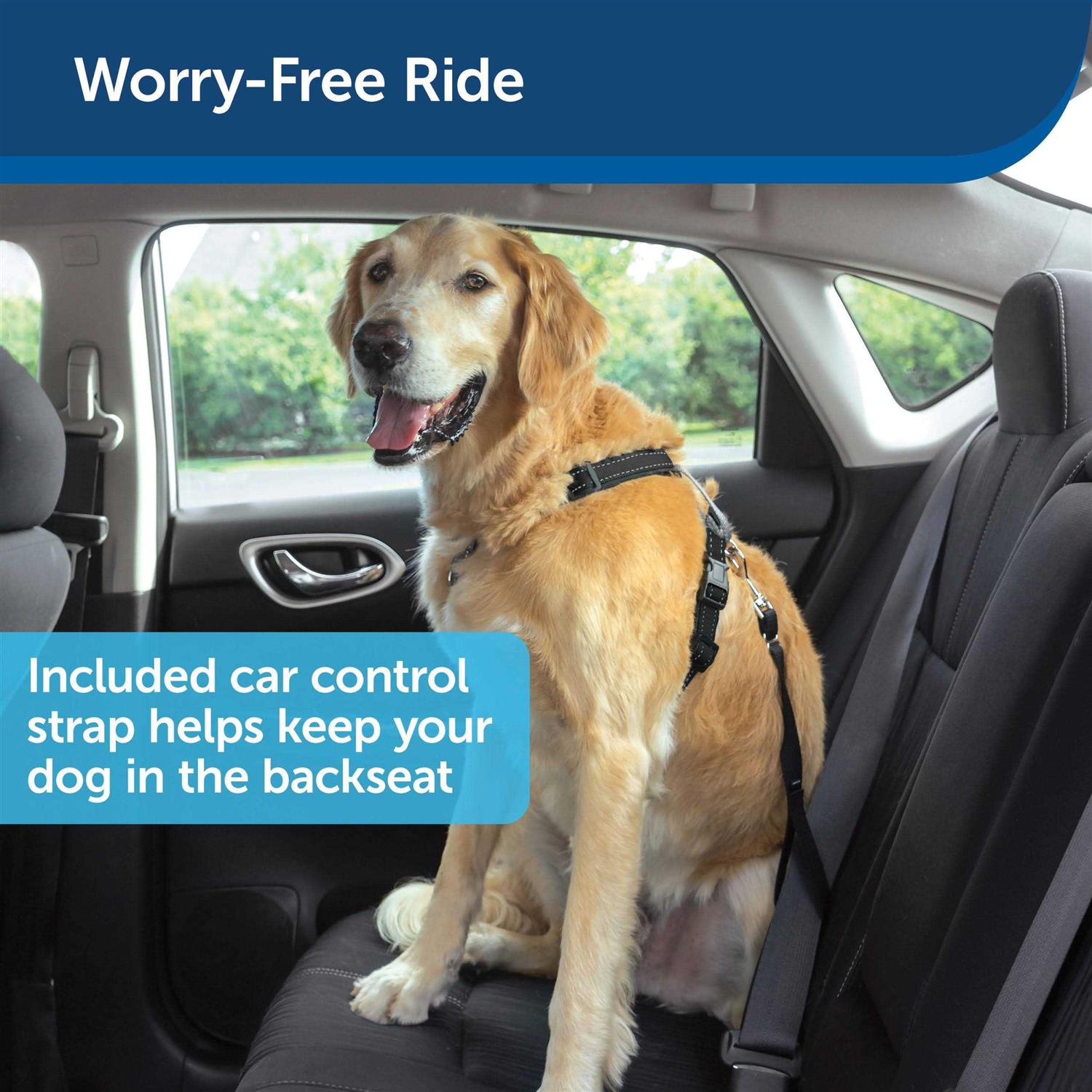 PetSafe 3 in 1 Harness with Two Point Control Leash - Nail Gallerys