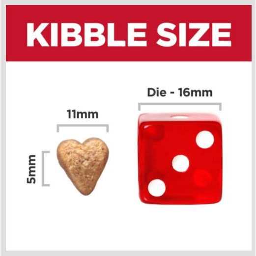 Hill’s Science Diet Adult Perfect Weight & Joint Support Chicken Recipe Dry Dog Food - Nail Gallerys