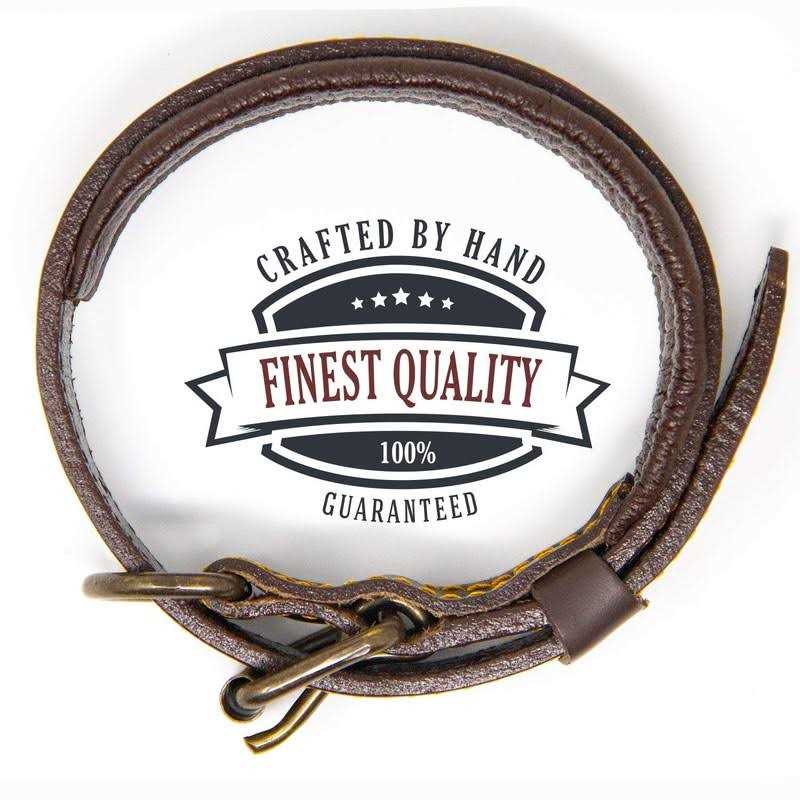 Logical Leather Padded Dog Collar Best Full Grain Genuine Leather Collar - Nail Gallerys