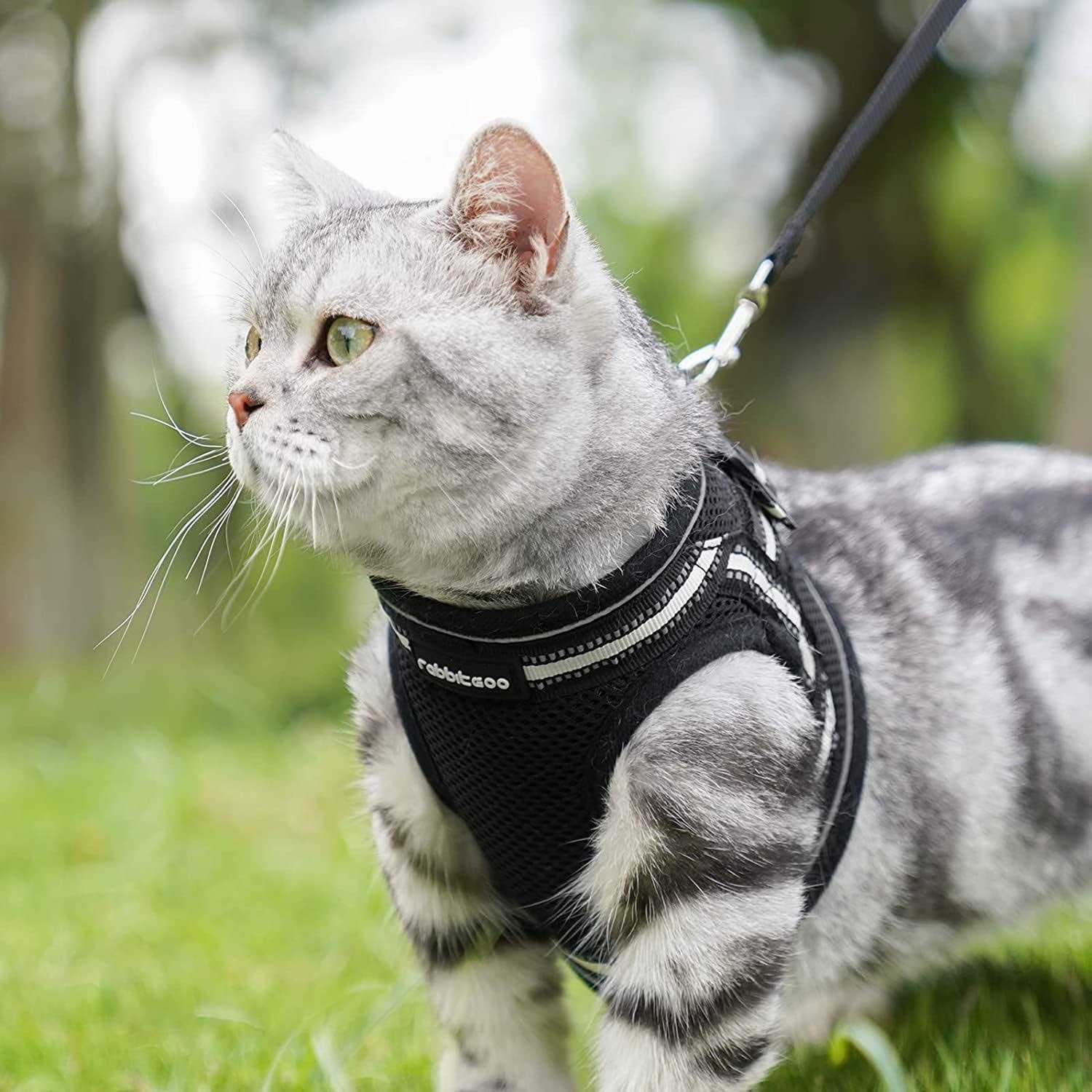 Rabbitgoo Cat Harness and Leash for Walking Escape Proof Soft Adjustable Vest Harnesses for Cats - Nail Gallerys