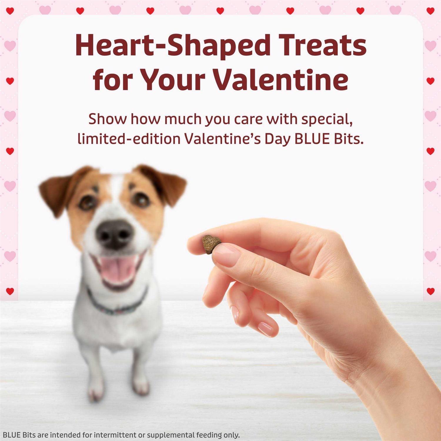 Blue Buffalo Valentine Blue Bits Chicken Recipe Natural SoftMoist Training Dog Treats - Nail Gallerys