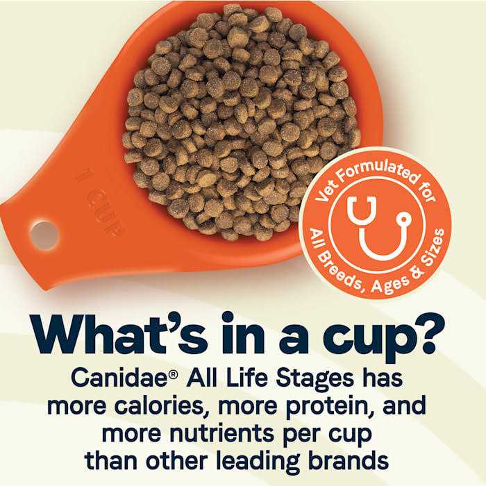 Canidae All Life Stages Large Breed Dog Dry Food Turkey Meal Brown Rice Formula - Nail Gallerys