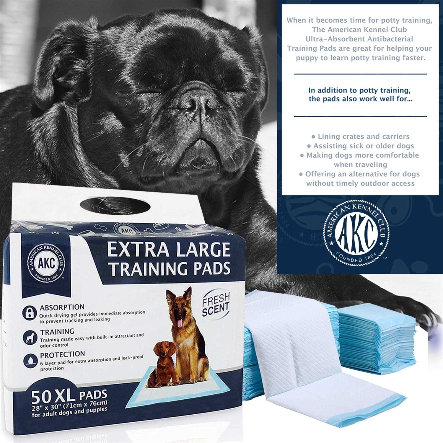 American Kennel Club Training Pads - Nail Gallerys