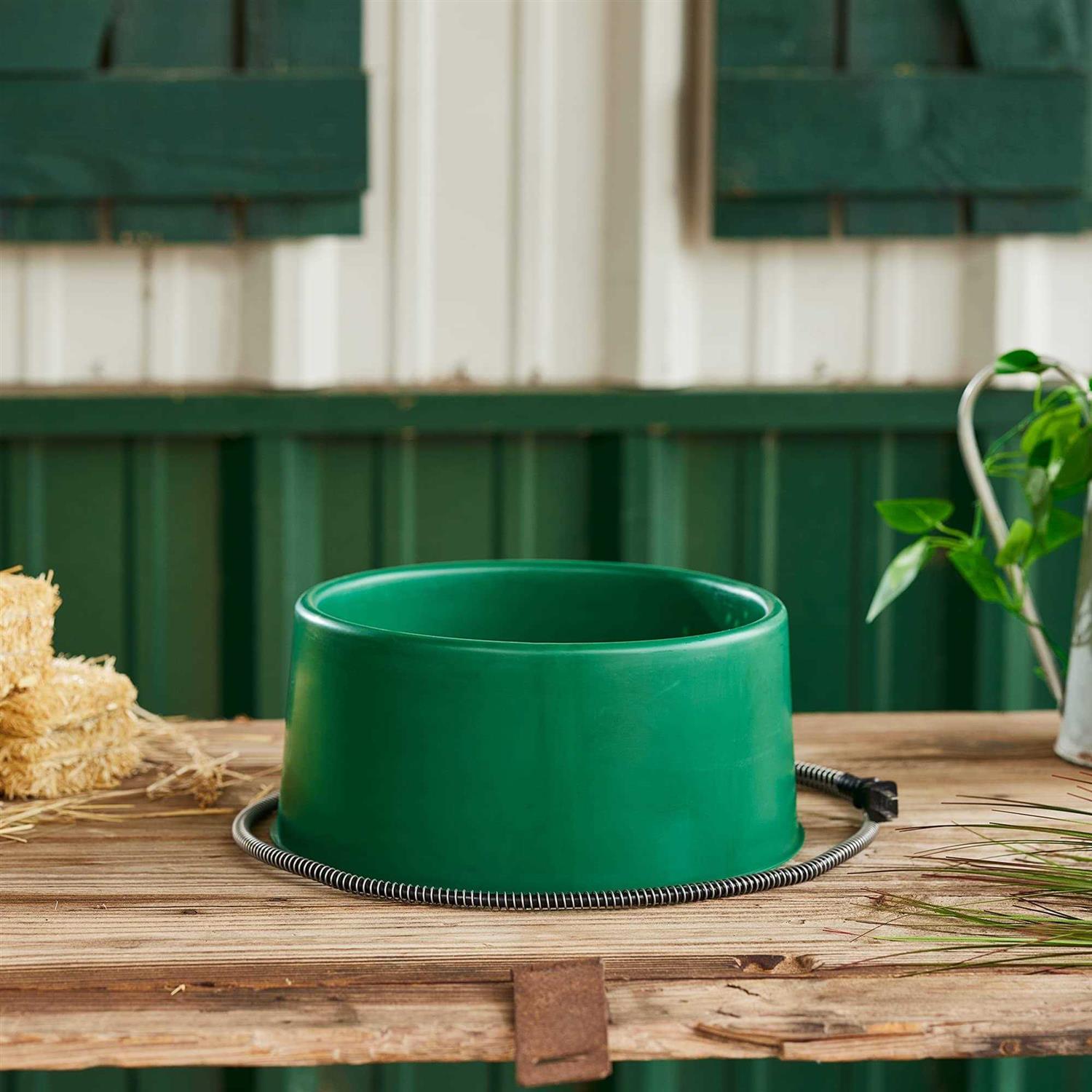 Farm Innovators Heated Pet Bowl - Nail Gallerys