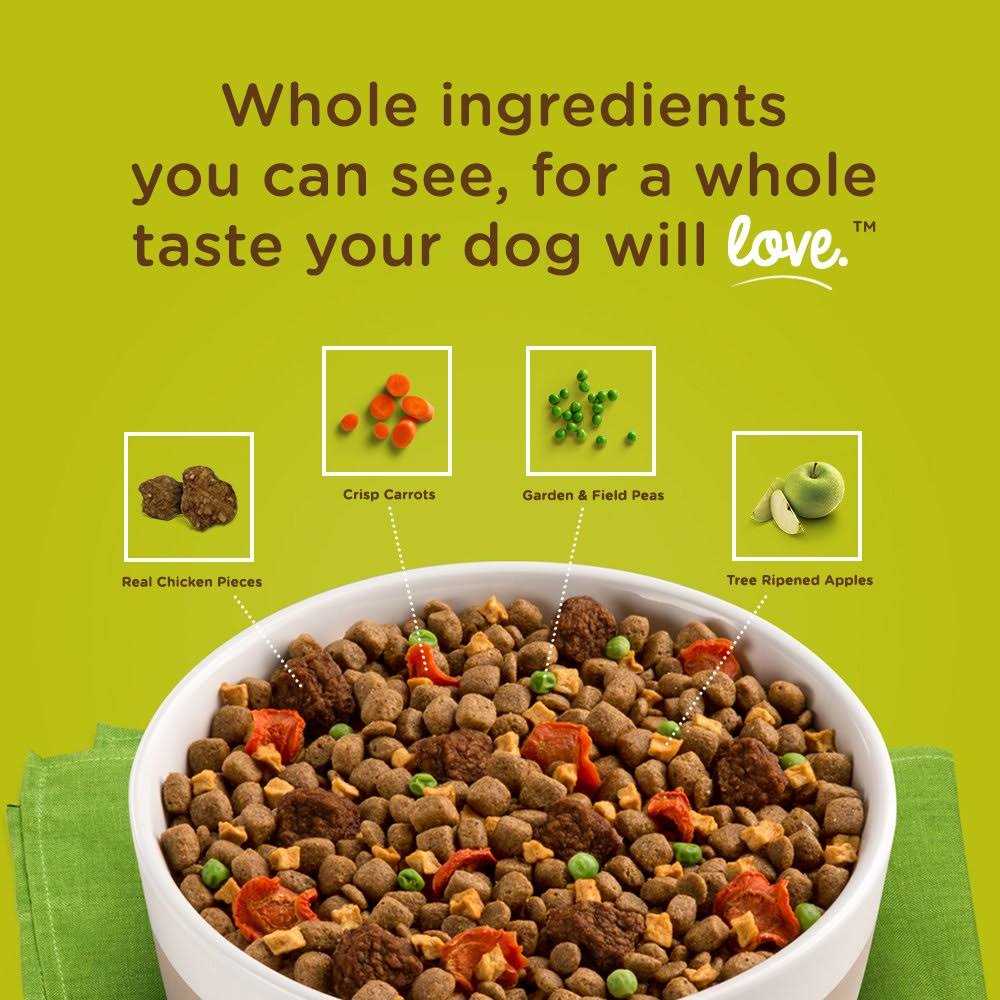 Rachael Ray Nutrish Dish Brown Rice Dog Food - Nail Gallerys