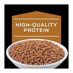 Purina Veterinary Diets NF Kidney Function Feline Canned Food - Nail Gallerys