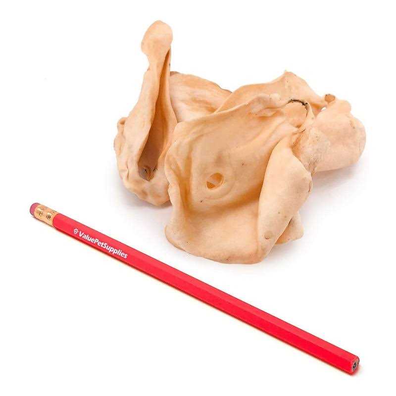 ValueBull Cow Ears Varied Shapes - Nail Gallerys