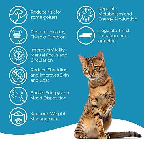 BestLife4Pets Cat Hyperthyroid + Weight Gain Support Feline Thyroid Supplement for Metabolic Support - Nail Gallerys