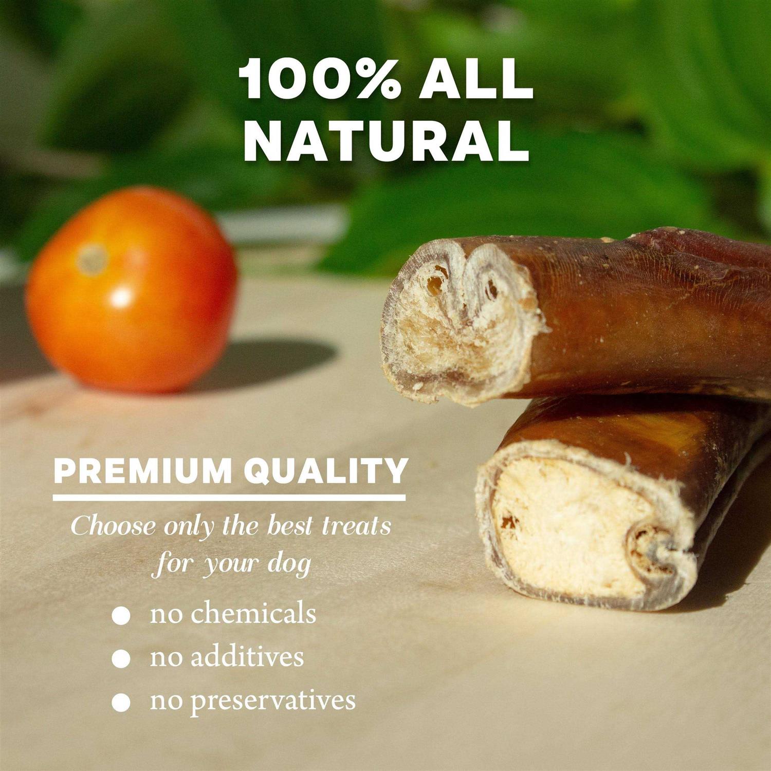 Downtown Pet Supply Bully Sticks For Dogs Thick Rawhide Free Dog Chews - Nail Gallerys