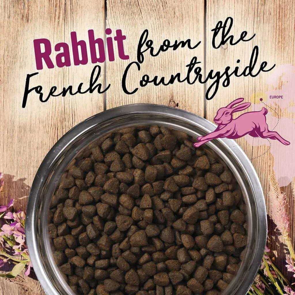Earthborn Holistic Venture Grain Free Rabbit Meal Pumpkin Dry Dog Food - Nail Gallerys