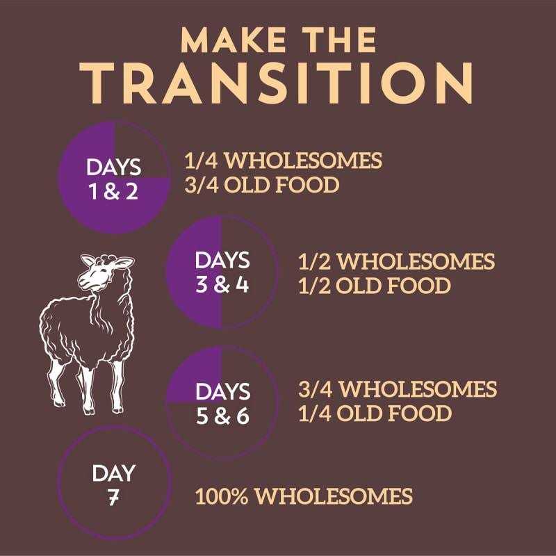 Sportmix Wholesomes Lamb Meal & Rice Formula Dry Dog Food - Nail Gallerys