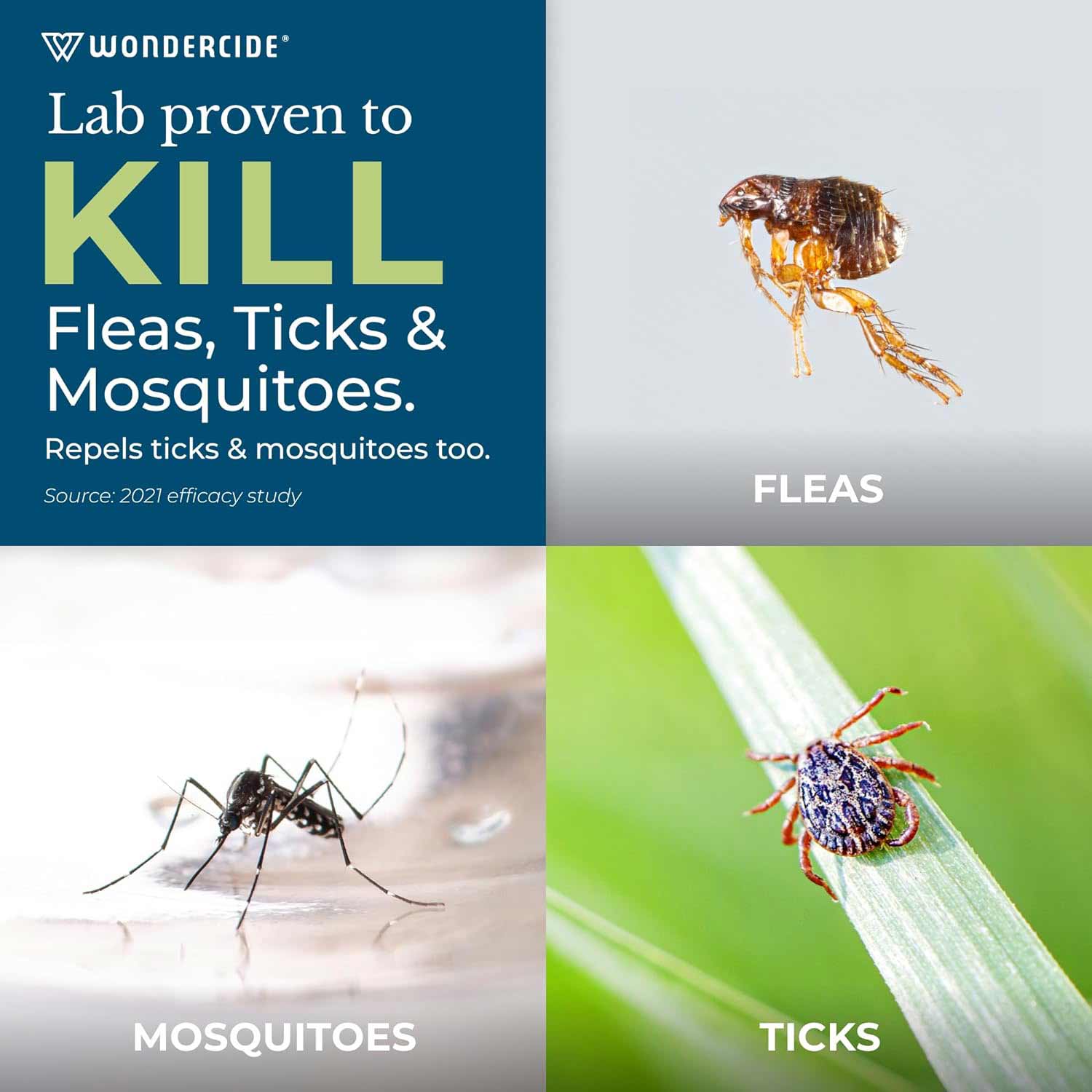 Wondercide Flea, Tick & Mosquito Control Concentrate for Yard + Garden - Nail Gallerys