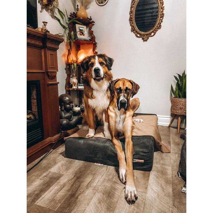 Big Barker Headrest Pillow Top Orthopedic Dog Bed - Nail Gallerys