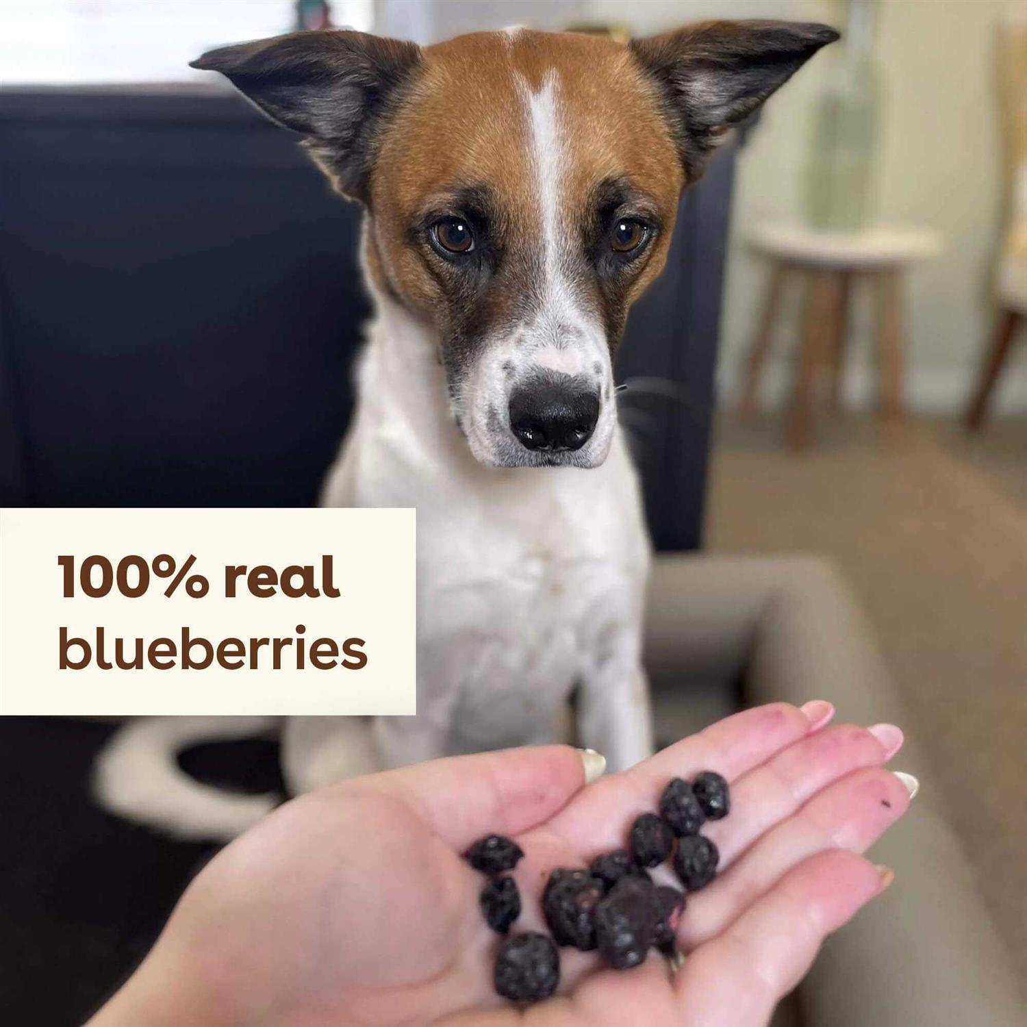 Pupford Freeze Dried Dog Training Treats 425+ Puppy & Dog Treats - Nail Gallerys