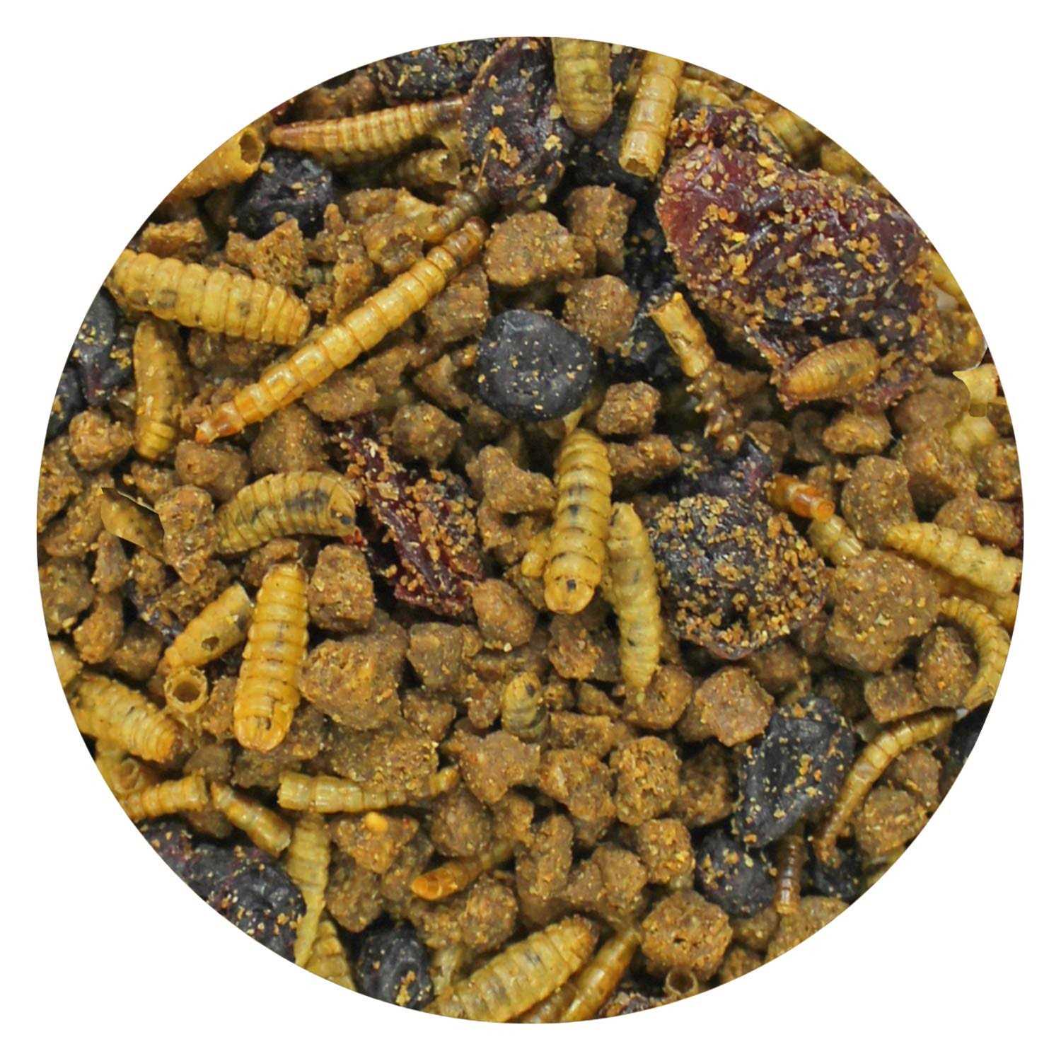 Exotic Nutrition Berries & Bugs Insectivores Food - Nail Gallerys