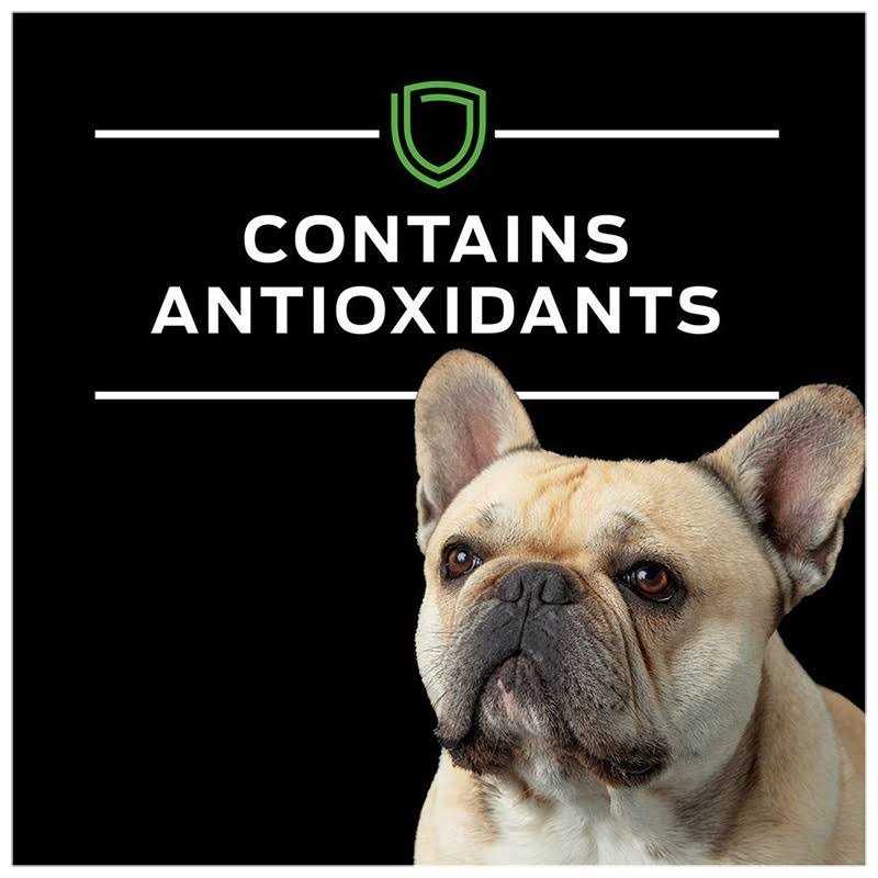 Purina Pro Plan Veterinary Diets HA Hydrolyzed Chicken Flavor Canine Formula in Sauce adult Wet Dog Food - Nail Gallerys