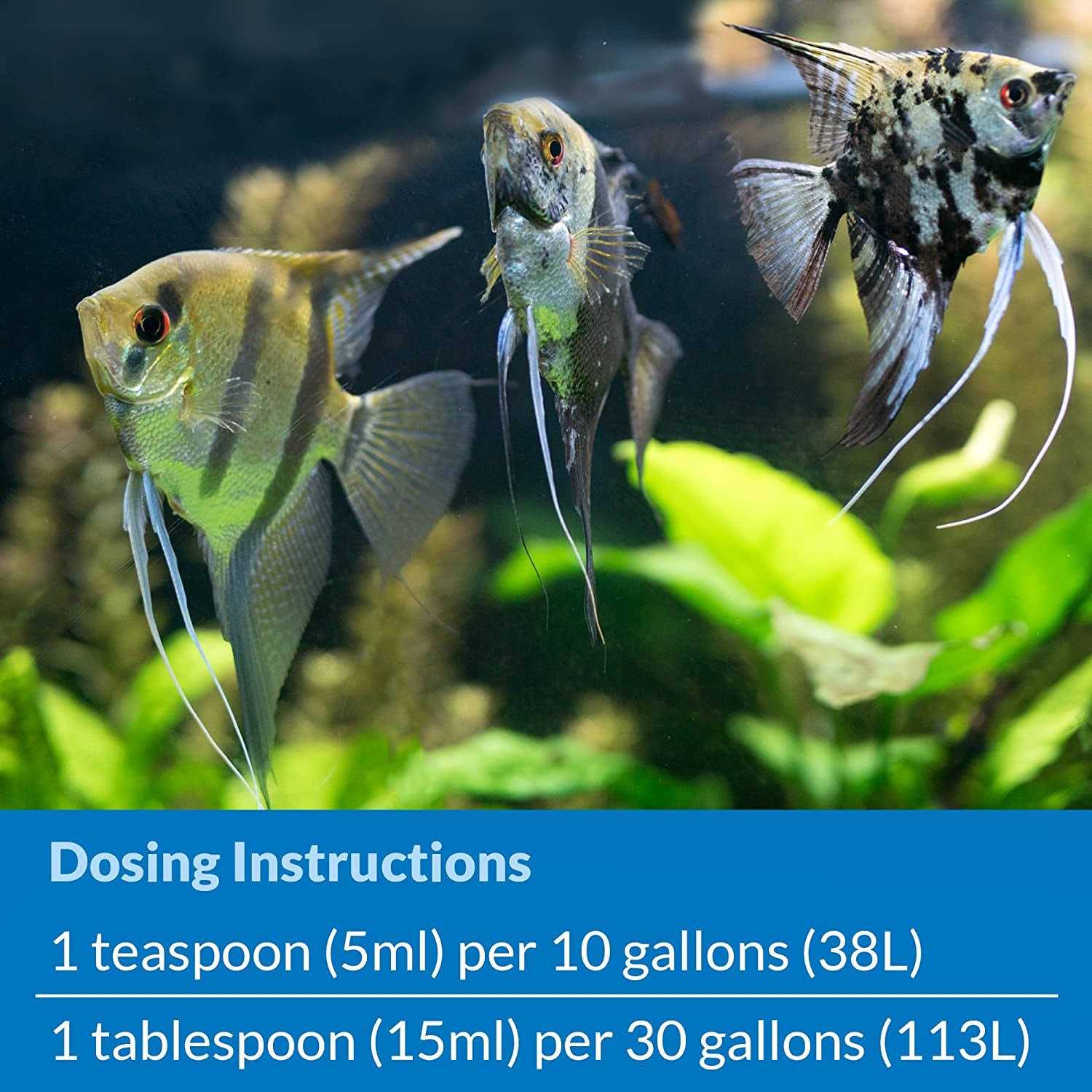 API Stress Zyme Plus - Nail Gallerys