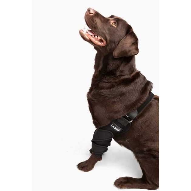 Labra Canine Shoulder Elbow Brace Leg Dog Wrap - Nail Gallerys