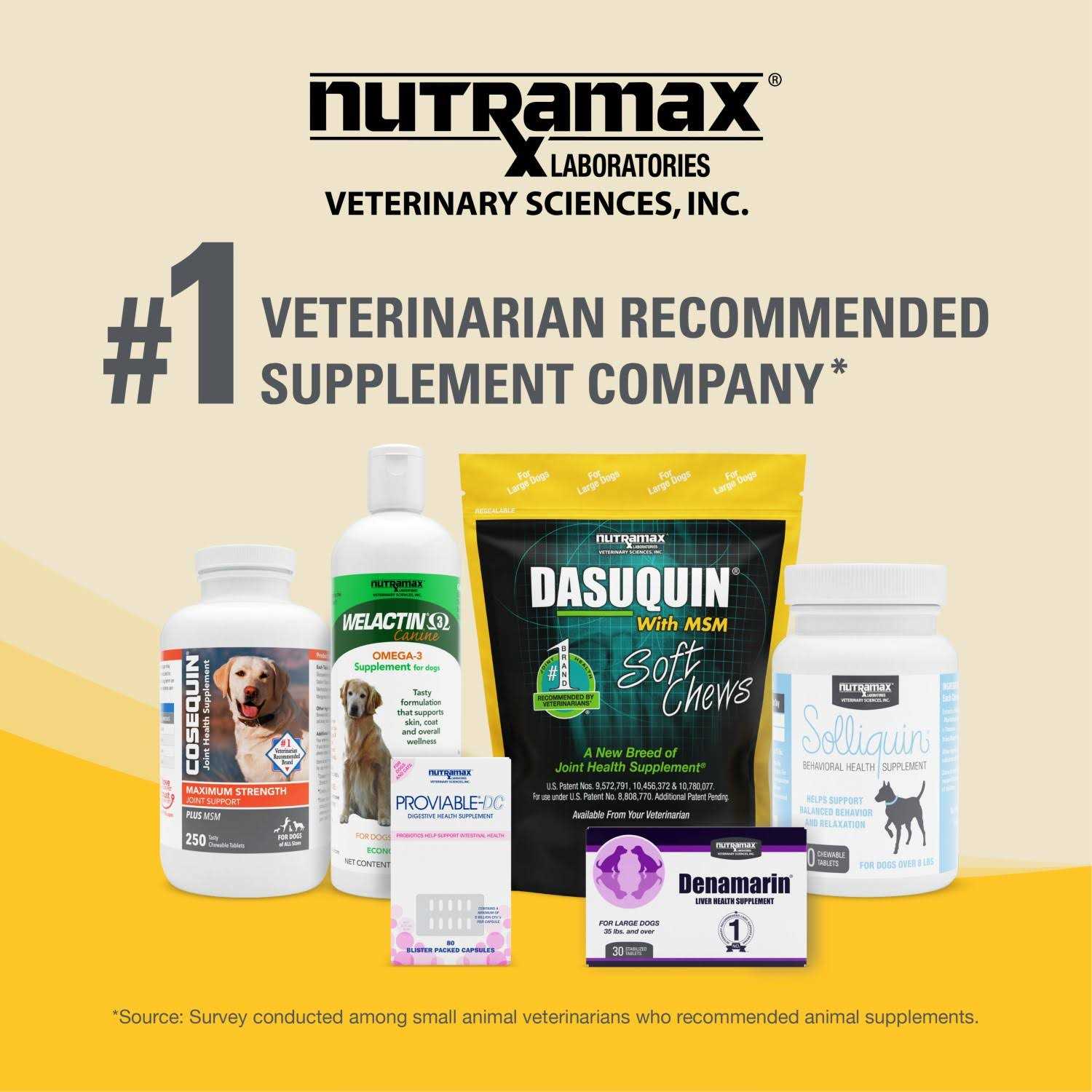 Nutramax Dasuquin with MSM Joint Health Supplement for Large Dogs - Nail Gallerys