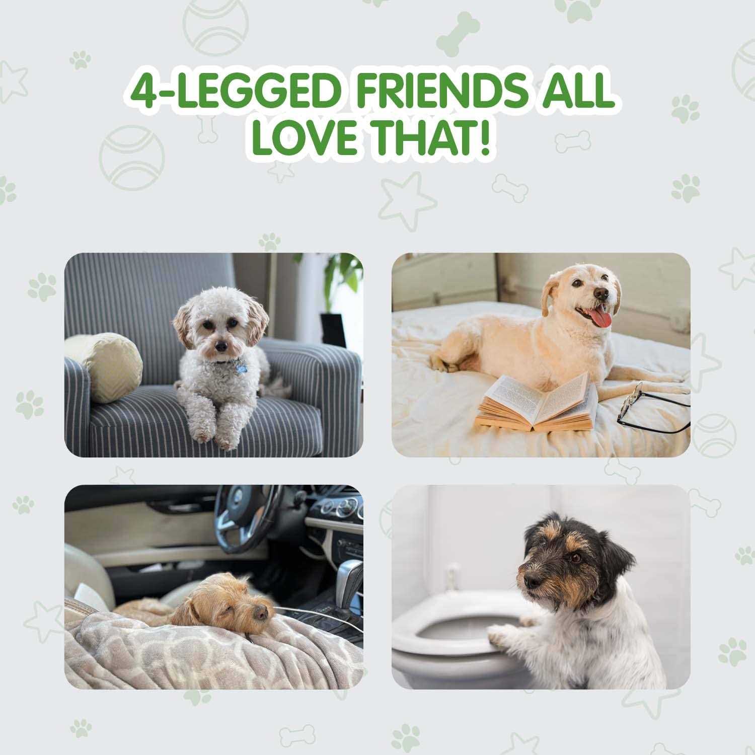 COCOYO Best Value Dog Training Pads - Nail Gallerys