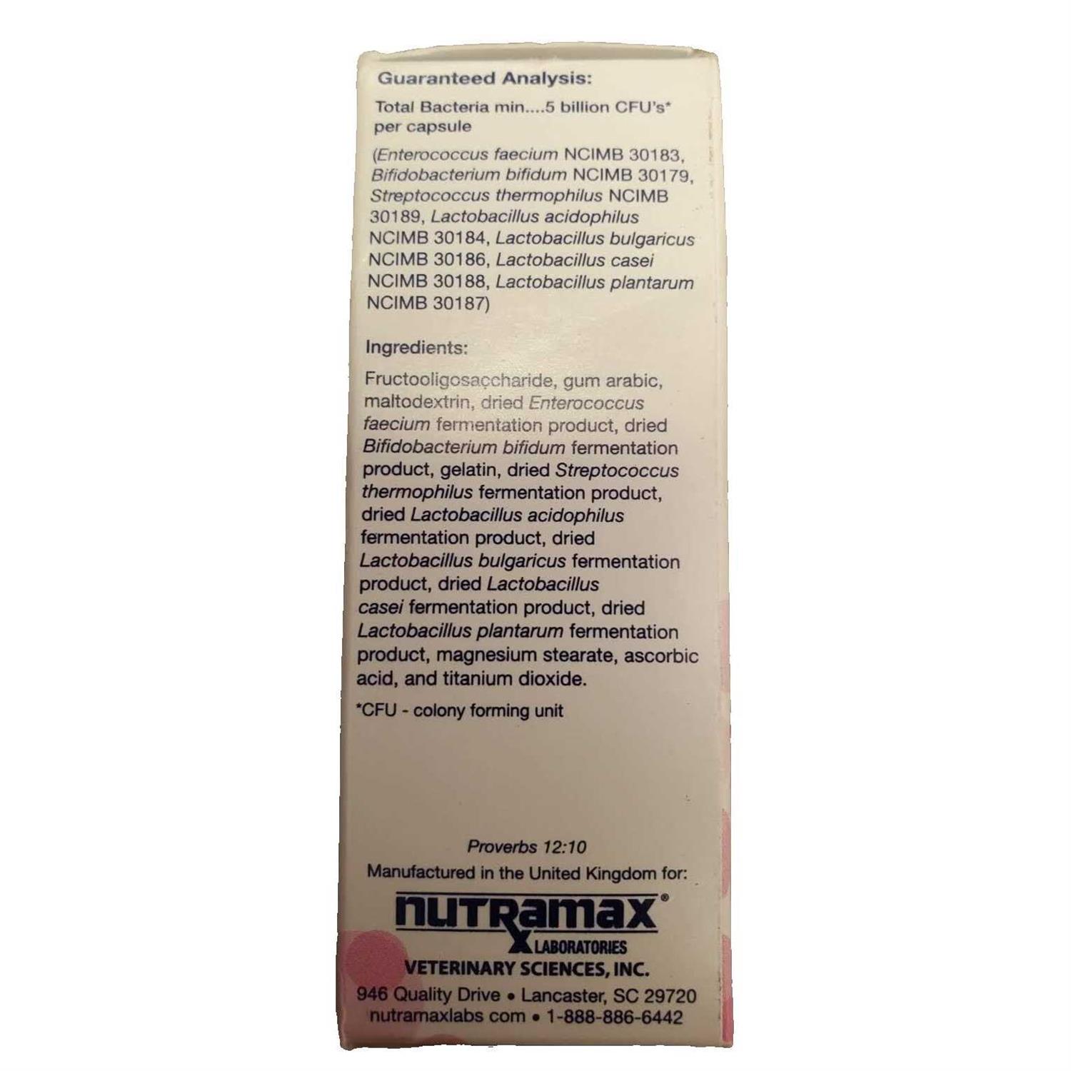 Nutramax Laboratories Cat Proviable Capsules Digestive Supplement - Nail Gallerys