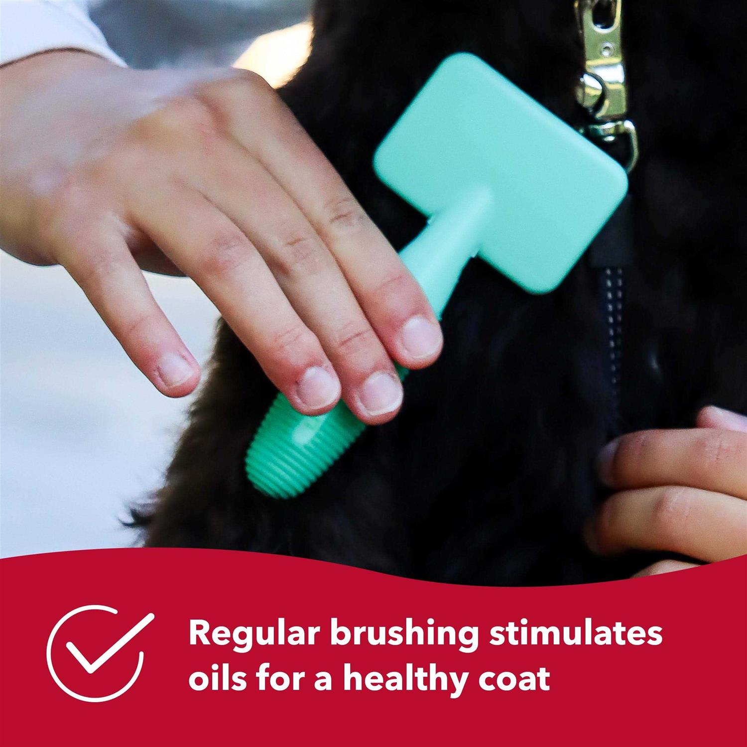 Li’l Pals Slicker Brush - Nail Gallerys