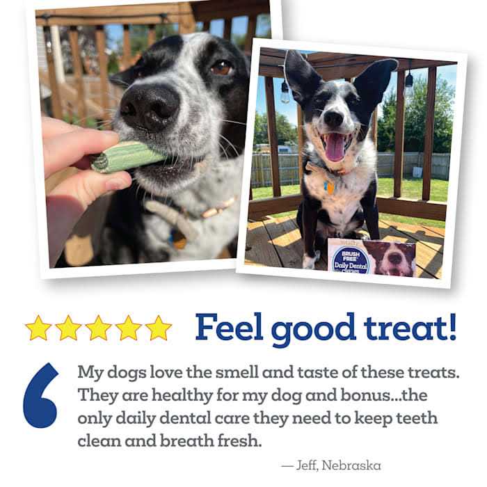 Vetality Brush Free Daily Dental Chews for Dogs - Nail Gallerys